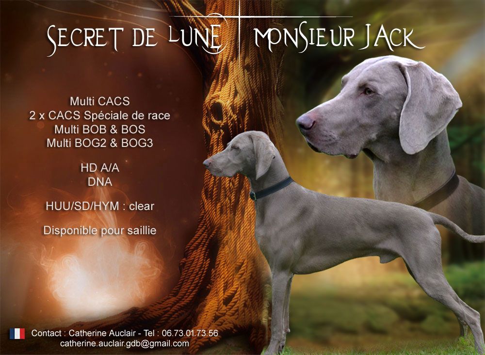 Secret de Lune Monsieur jack