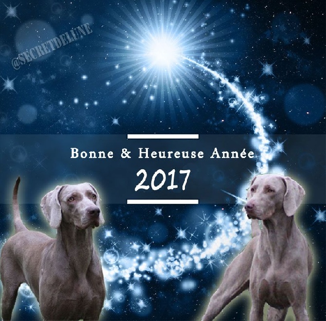 Secret de Lune - 2017 ...