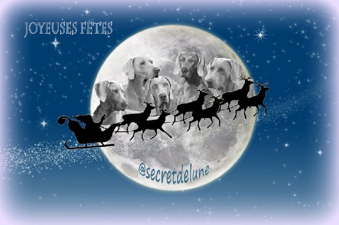 Secret de Lune - Joyeuses fêtes
