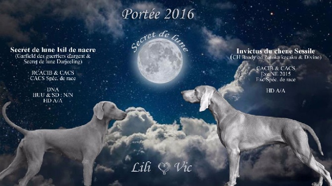 Secret de Lune - Portée 2016