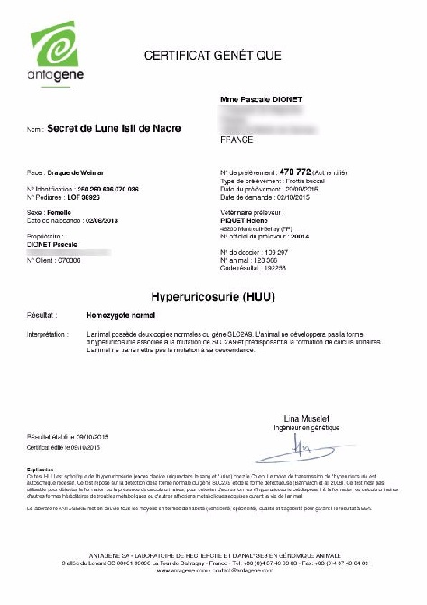 Secret de Lune - ANTAGENE - Hyperuricosurie