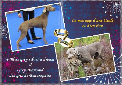 Secret de Lune - Petits Secret de lune ...