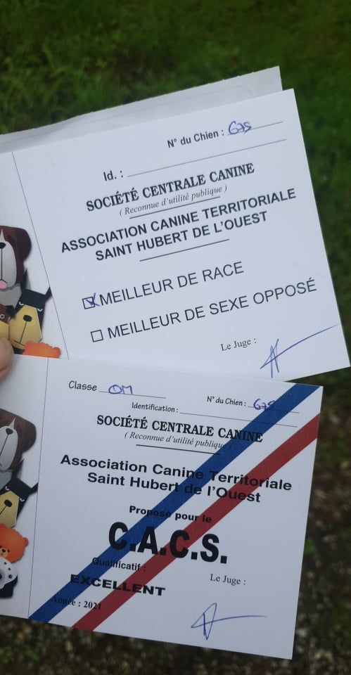 Secret de Lune - Châteaubriant 2021