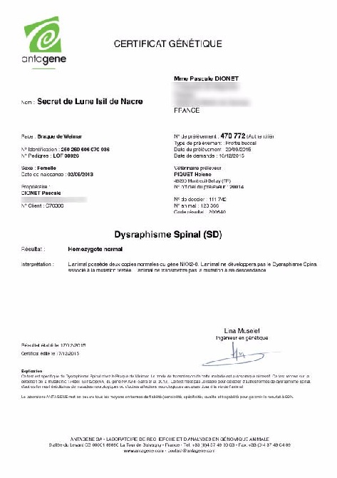 Secret de Lune - Antagène - Dysraphisme spinal