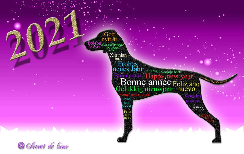 Secret de Lune - 2021 ... Meilleurs voeux