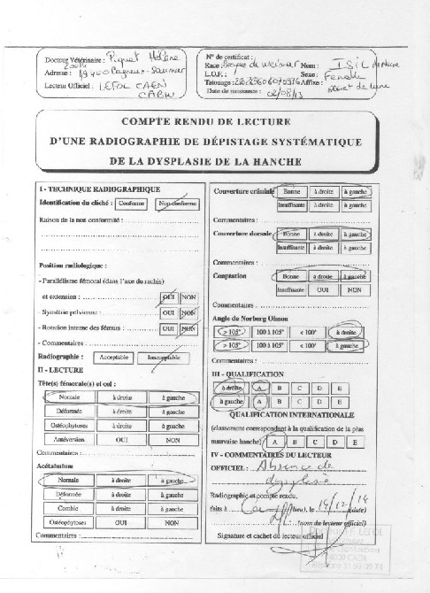 Secret de Lune - Résultat dépistage DCF de Lili