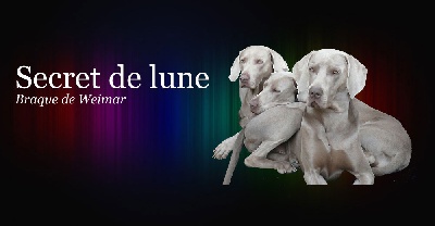 Secret de Lune - Relooking !